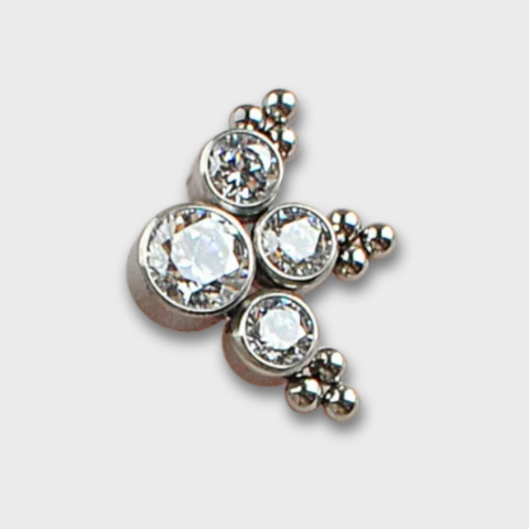 Top Paw Cristal Ornamentado